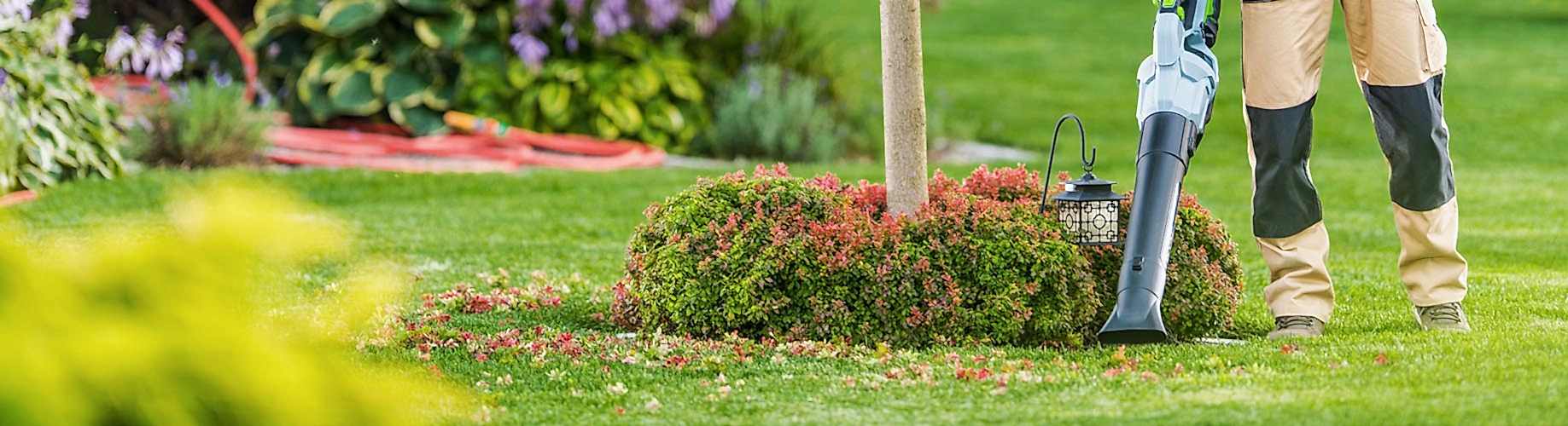Caucasian Men in His 40s with Modern Electric Cordless Leaf Blower Cleaning His Backyard Garden.